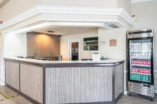 Hotolos Hollywood image 6