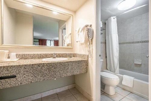 Hotolos Hollywood image 4